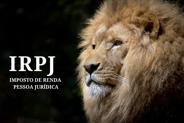 IRPJ: O Que Sua Empresa Precisa Saber Para Não Cair na Malha Fina